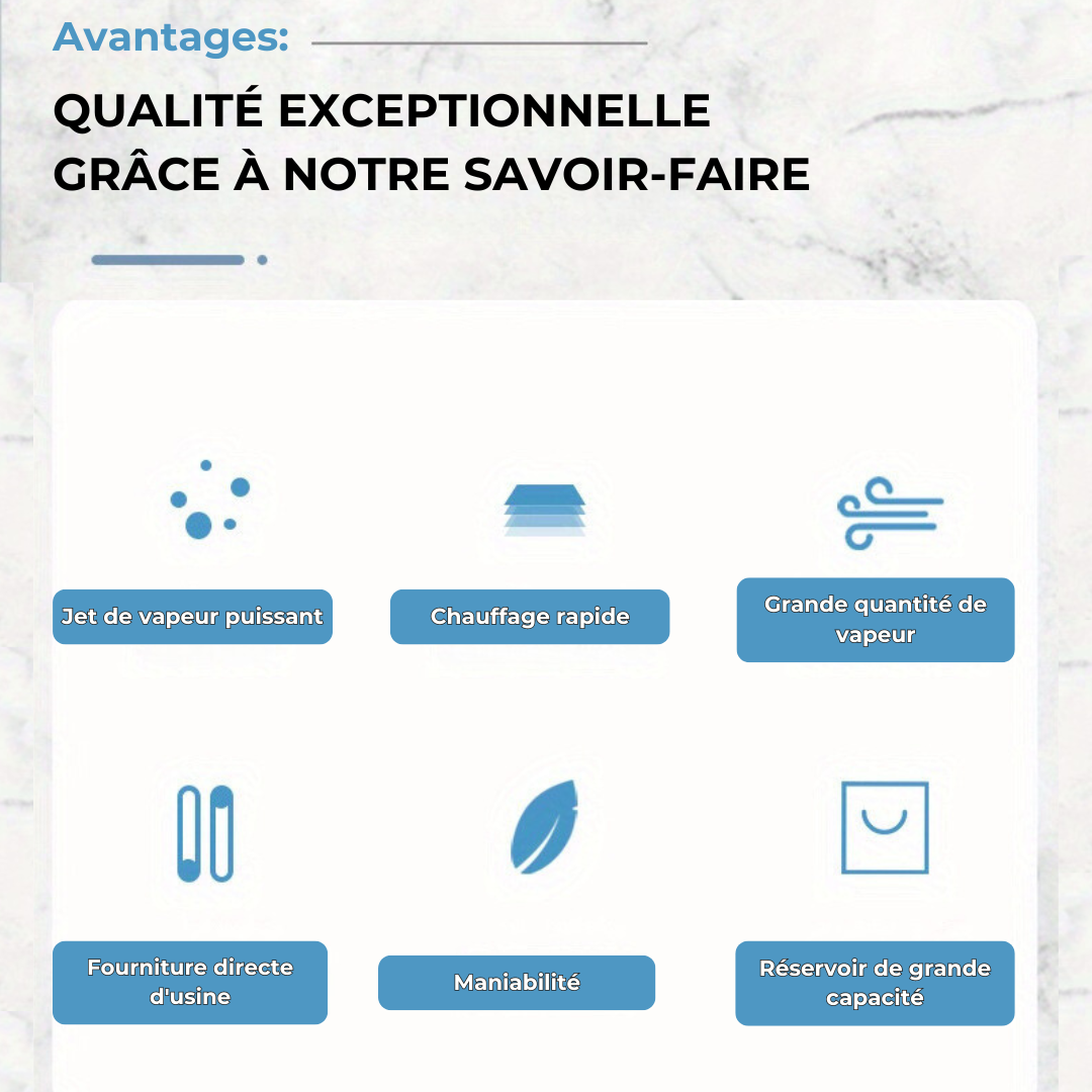 Nettoyeur vapeur polyvalent et haute performance